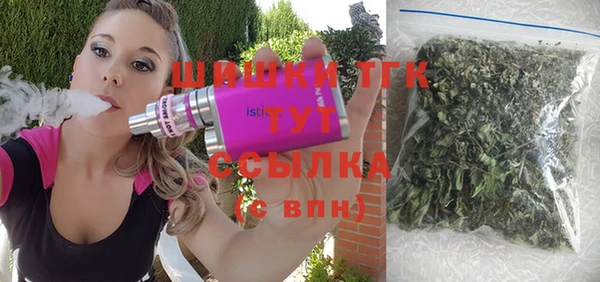 гидра Семёнов