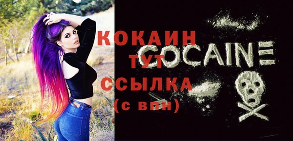 apvp Богородицк
