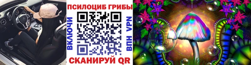 как найти Жуков Галлюциногенные грибы GOLDEN TEACHER